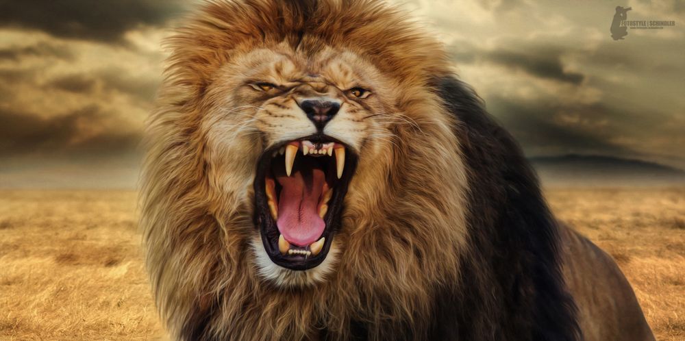 What's the most terrifying sound made by an animal? It's worse than the roar  of a lion